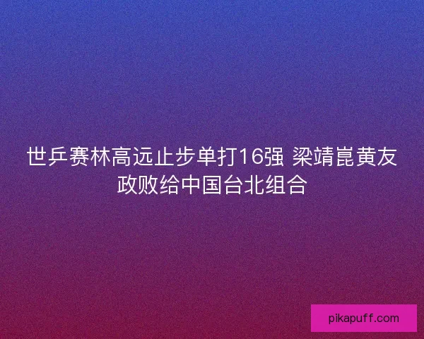 世乒赛林高远止步单打16强 梁靖崑黄友政败给中国台北组合 世乒赛林高远止步单打16强 梁靖崑黄友政败给中国台北组合